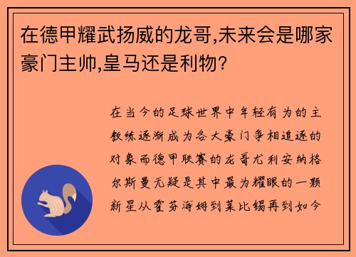 在德甲耀武扬威的龙哥,未来会是哪家豪门主帅,皇马还是利物？