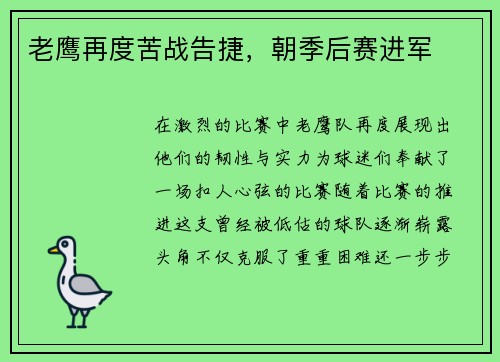 老鹰再度苦战告捷，朝季后赛进军